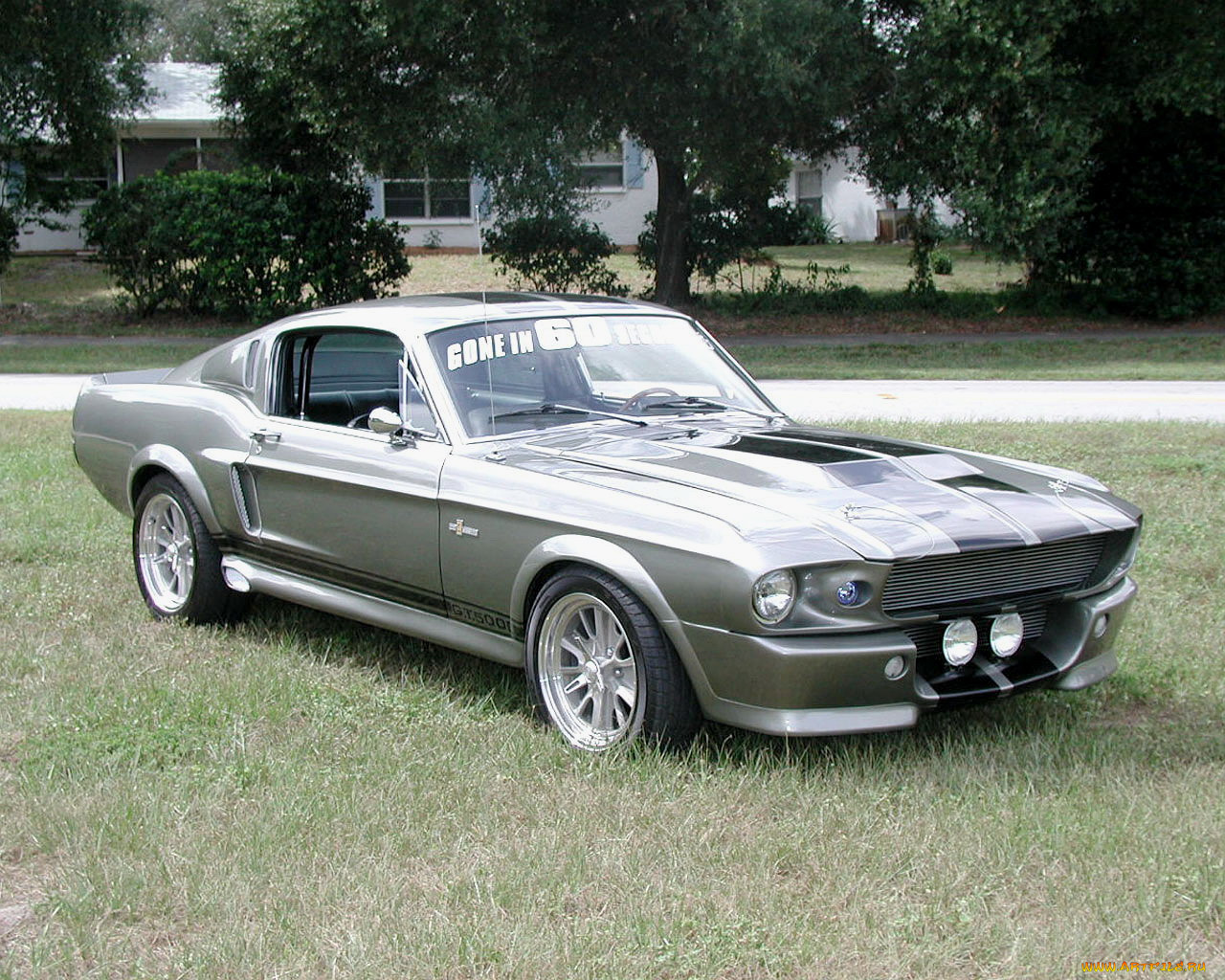 shelby, gt500, , ford